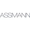 ASSMANN Electronic