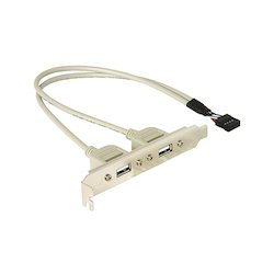 DeLock Slot bracket USB2...