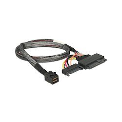 DeLock HDmSAS (8643) to U.2...