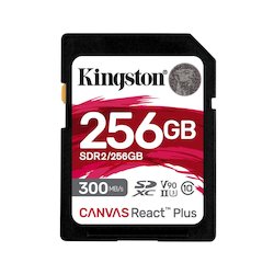 Kingston Standaard SD 256GB...